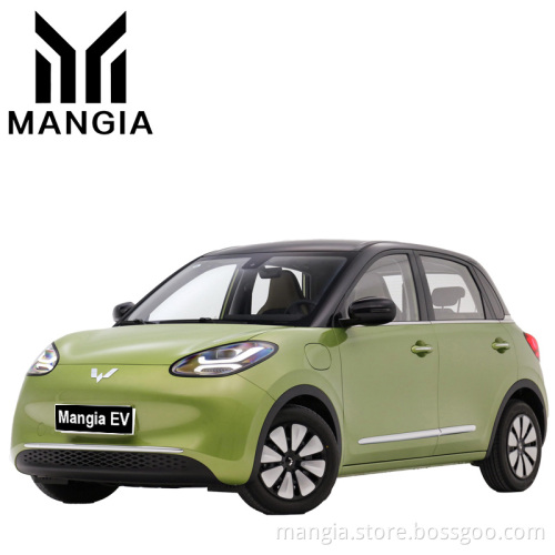 High quality new electric car wuling bingo ev mini electric car hot selling adult electric car in 2023